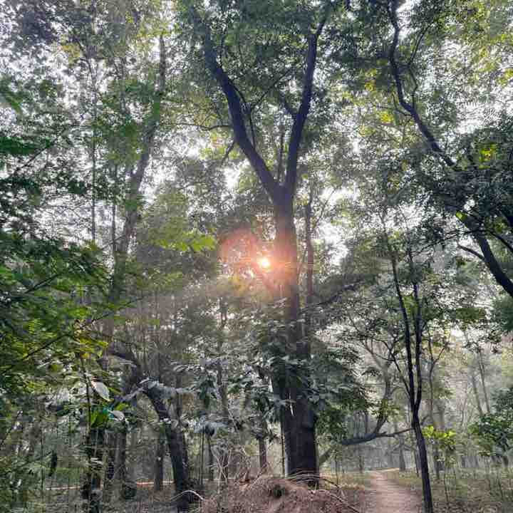 Phibro Step Challenge !! Mohammad Shah post image