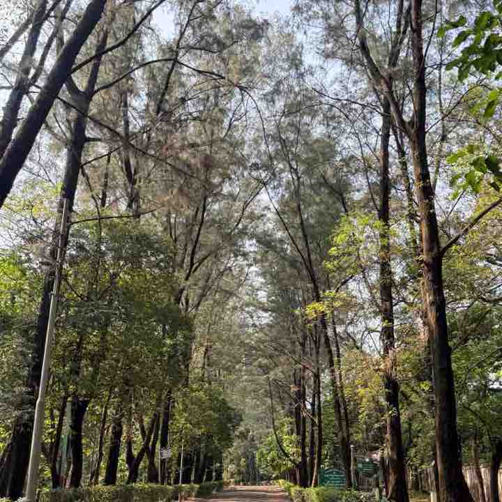 Phibro Step Challenge !! Mohammad Shah post image