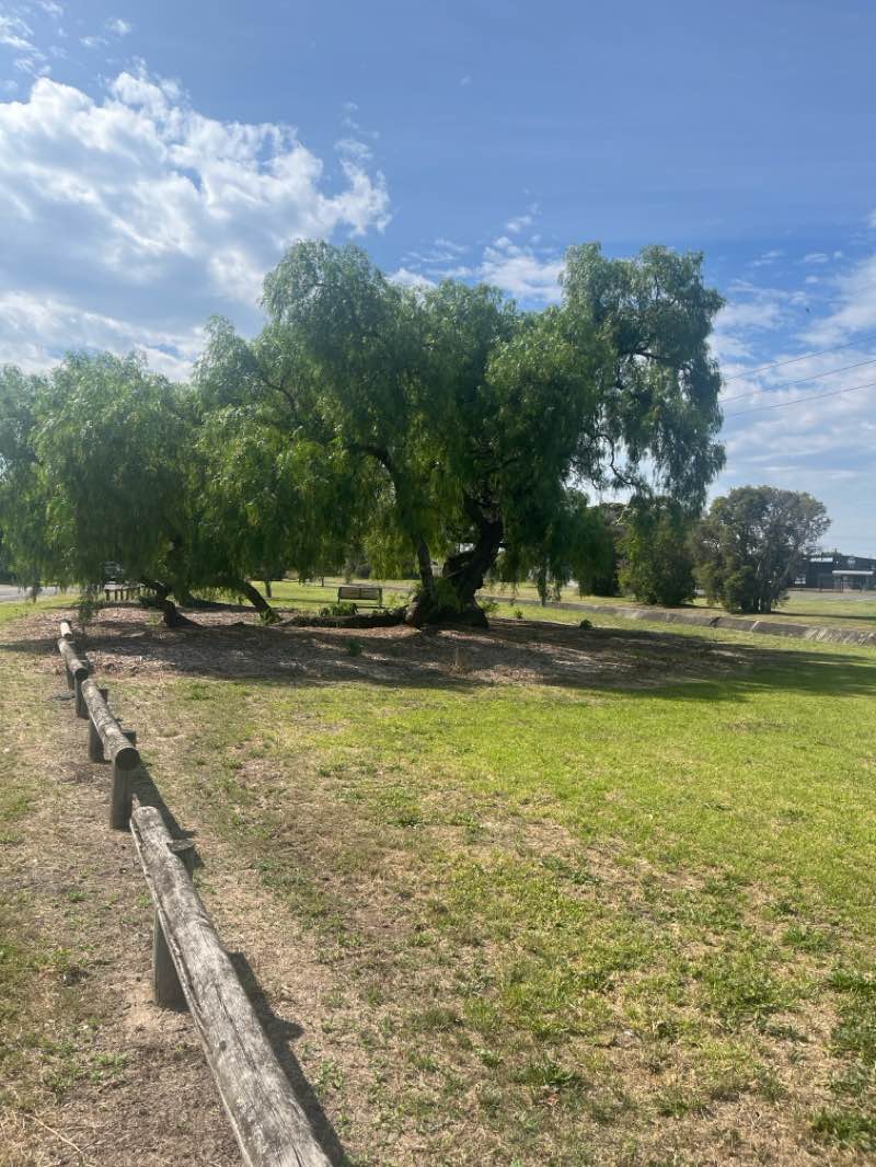 walking near me in Turner Park in spring