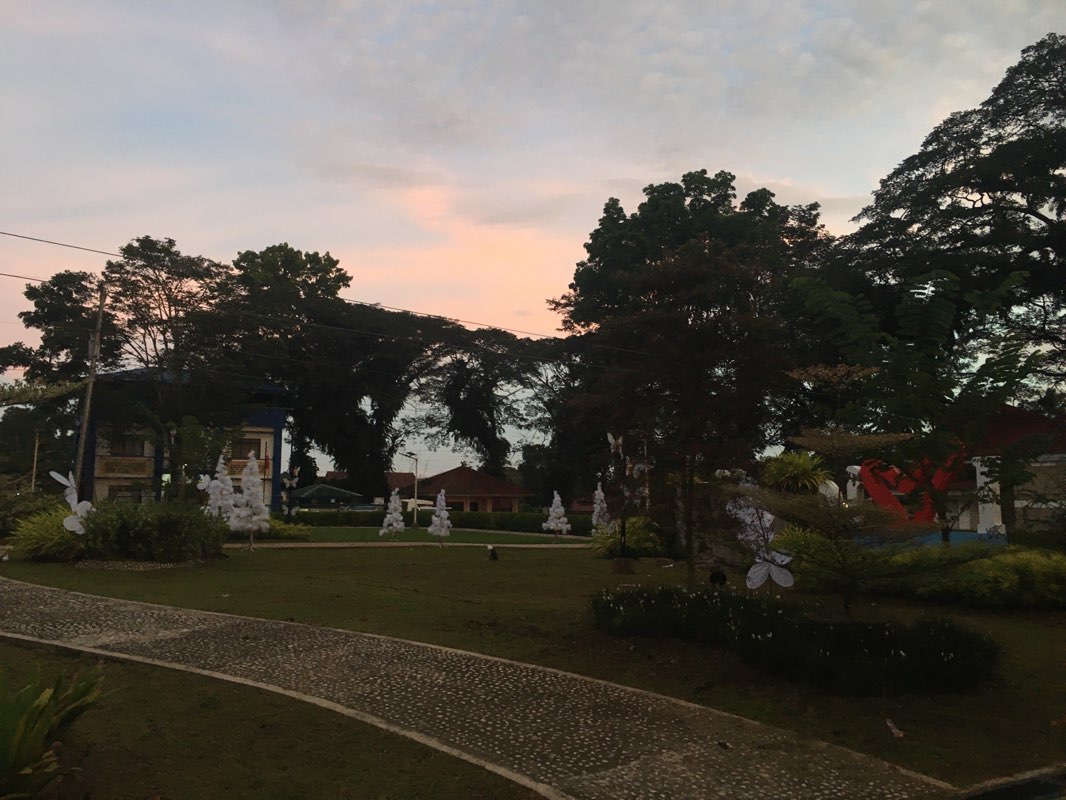 walking near me in Municipal Granstand in autumn