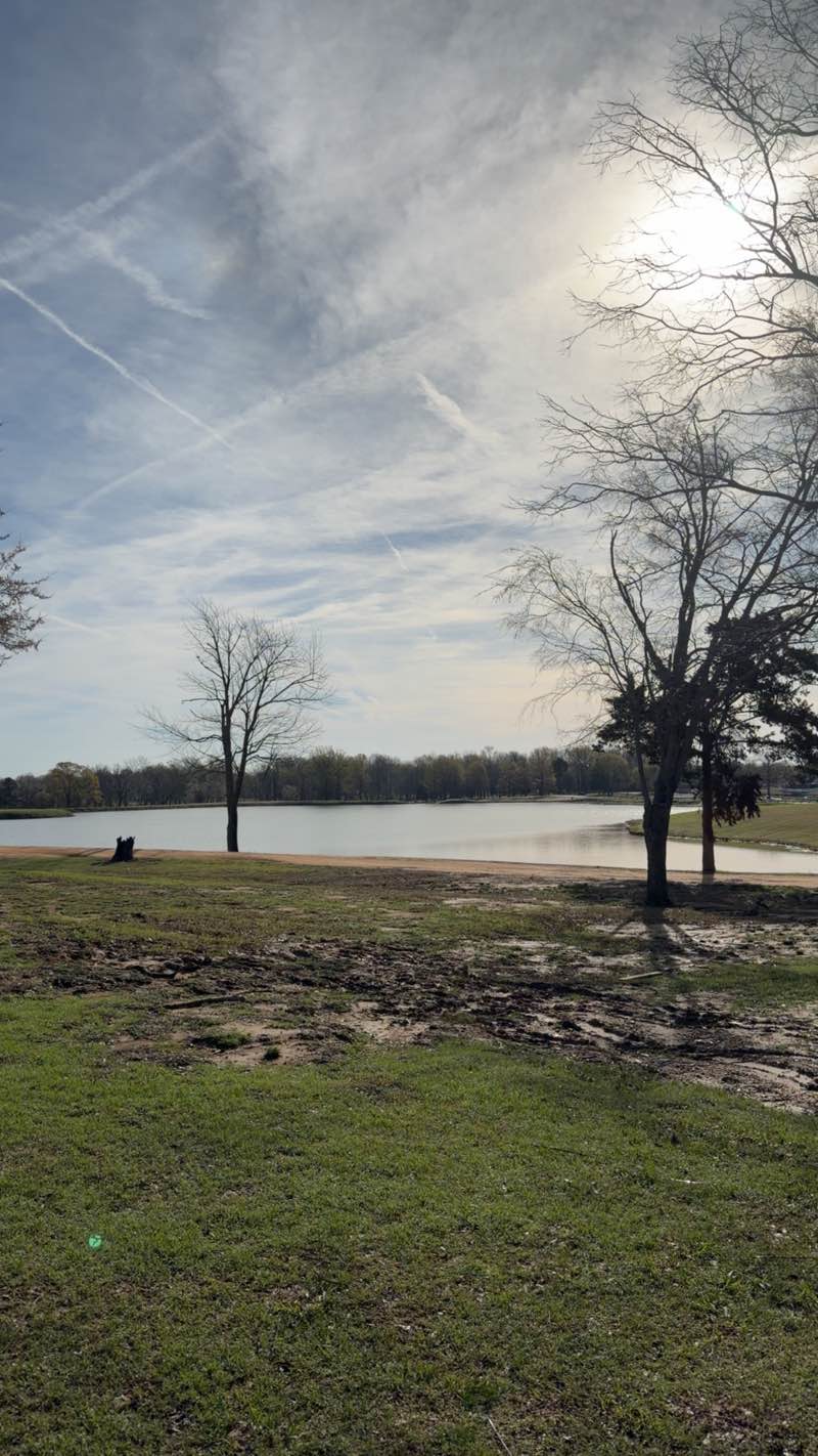 walking near me in Central Park in spring