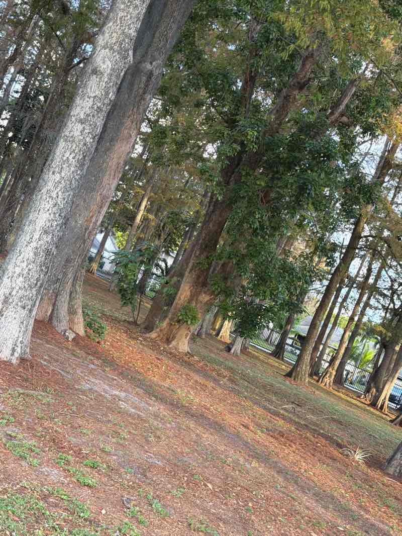 walking near me in Veterans Park in winter