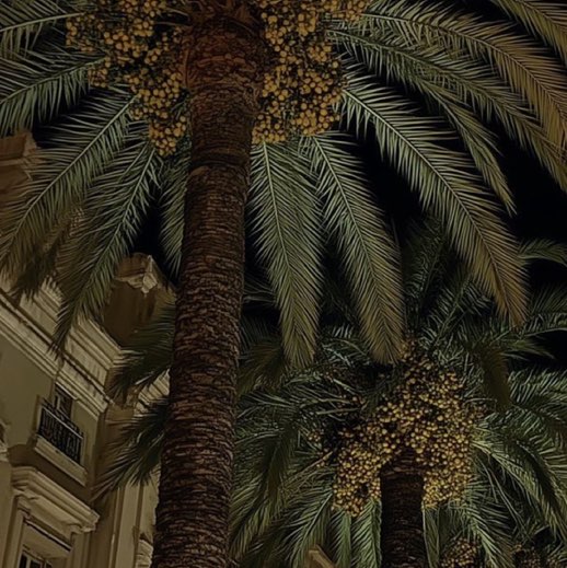 رغد Raghad profile