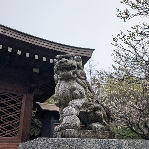 HighTime☝️ profile