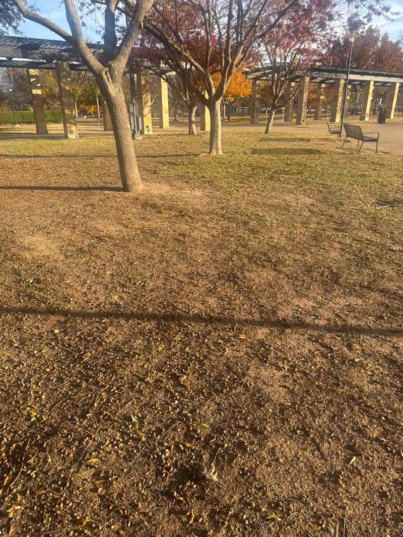 walking near me in Addison Circle Park in winter