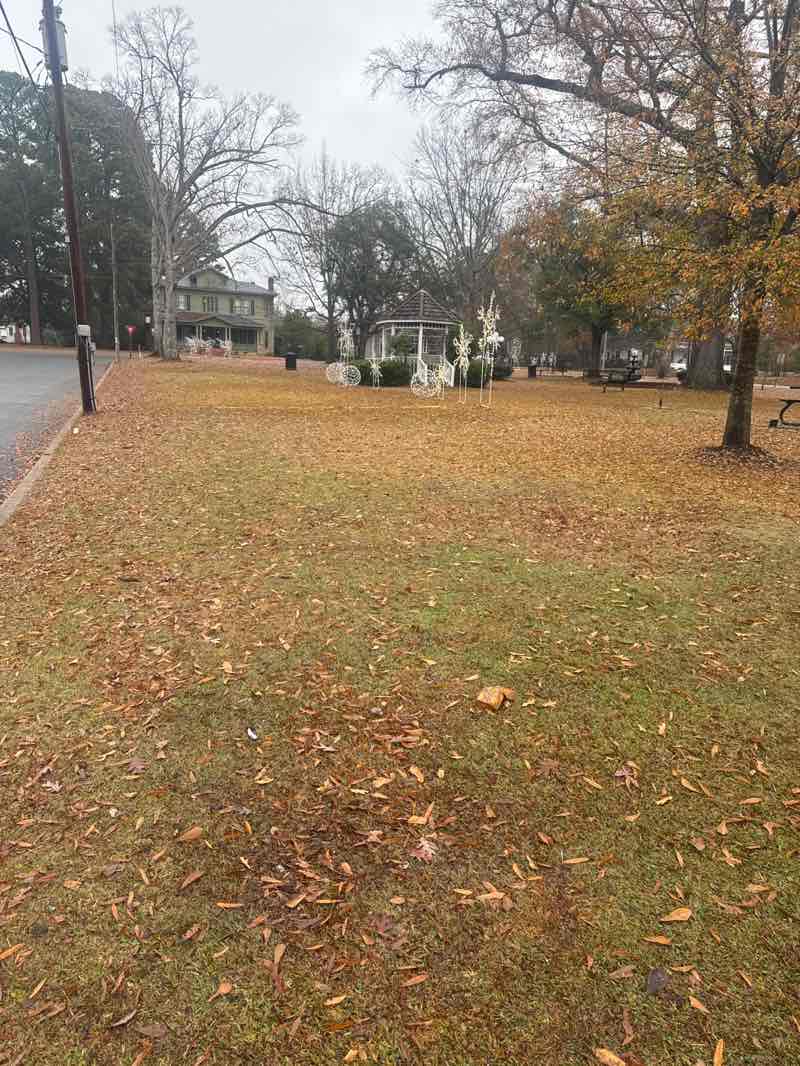 walking near me in Academy Park in winter