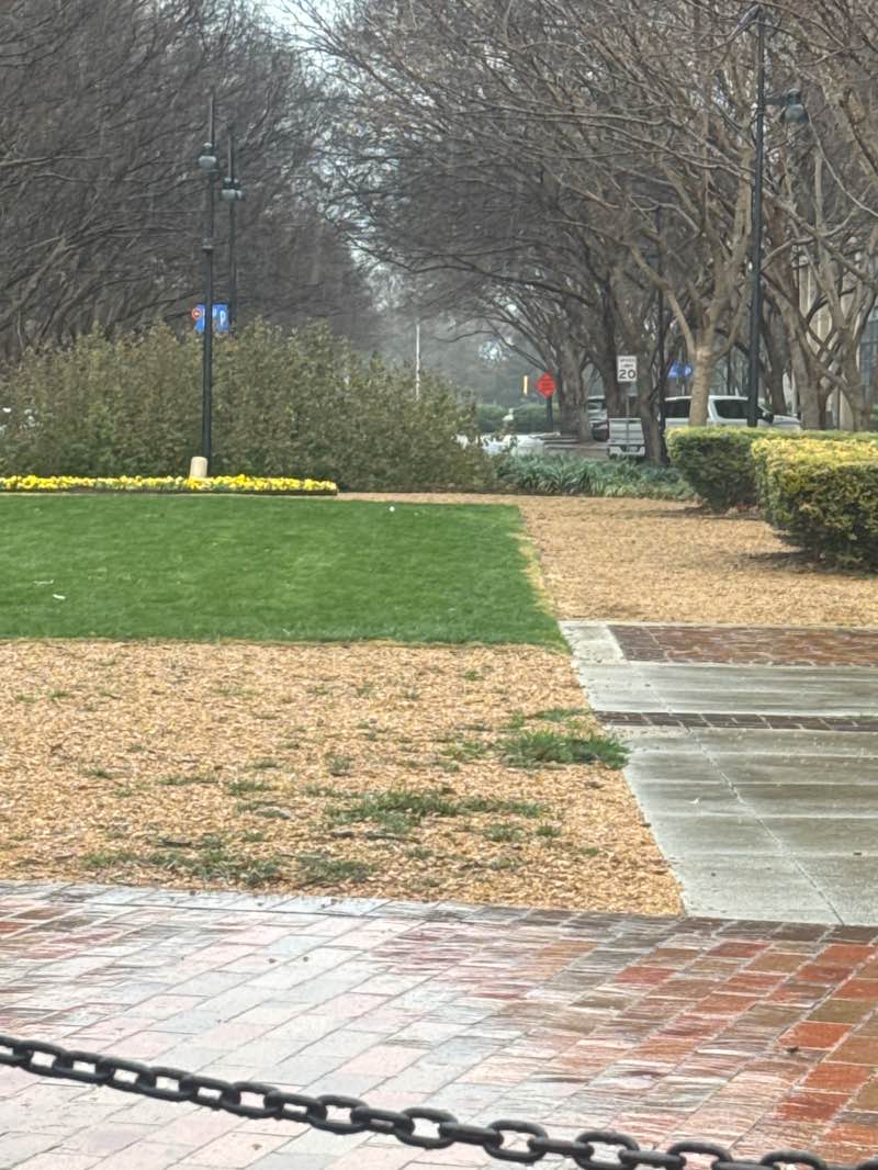 walking near me in Beckert Park in winter