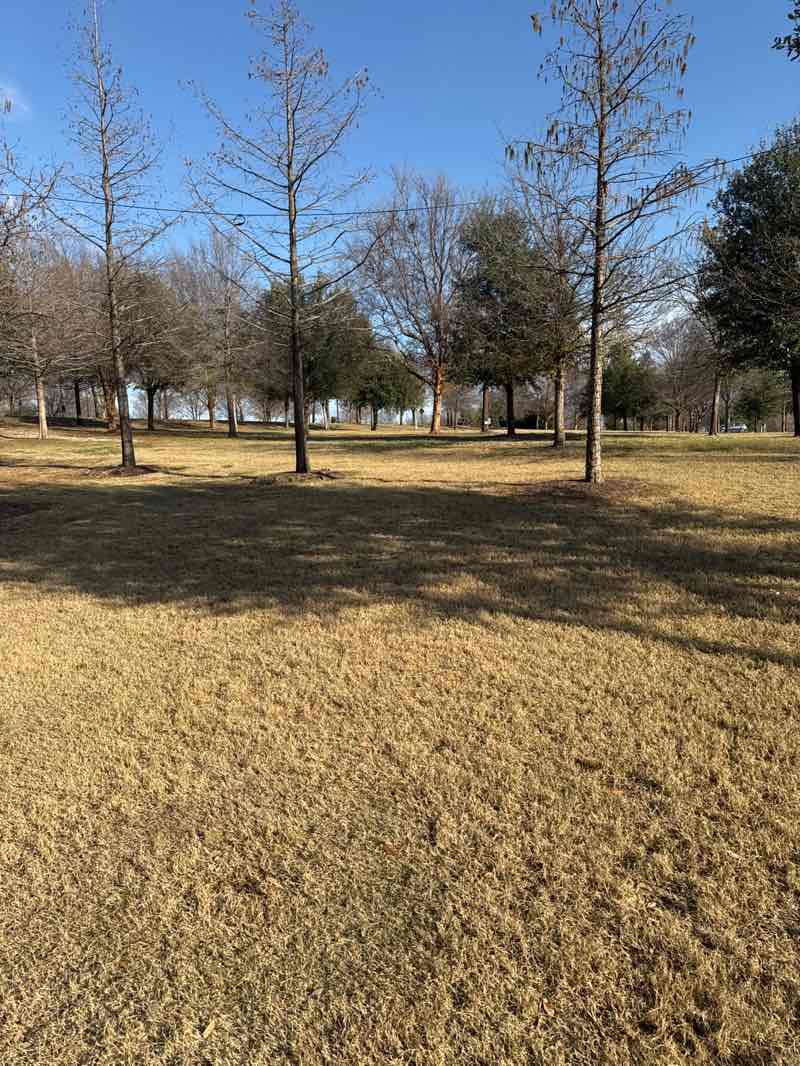 walking near me in Vitruvian Park in winter