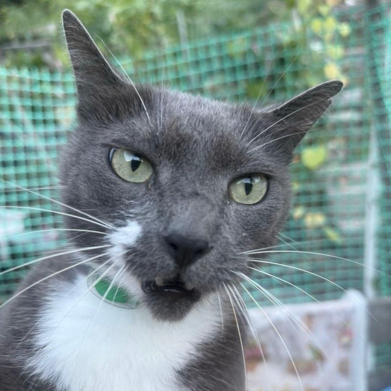 Шахов Сергей profile