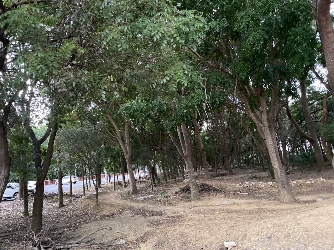 walking near me in Parque Central de Santiago in winter
