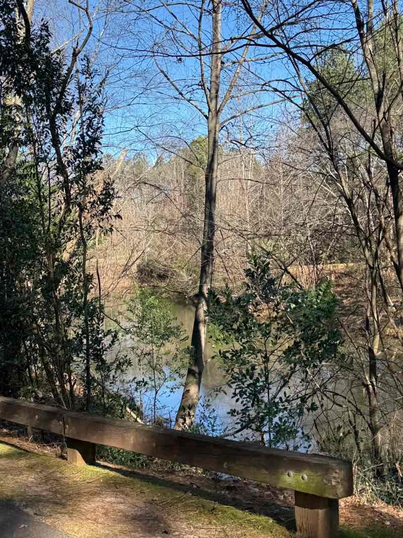 walking near me in Pickneyville Park in winter