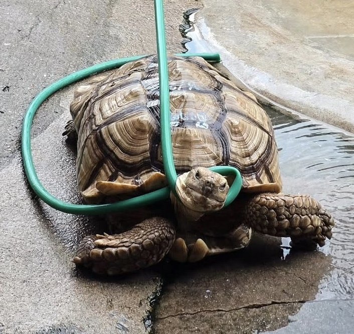 สกลภัทร ขำดี ปี3