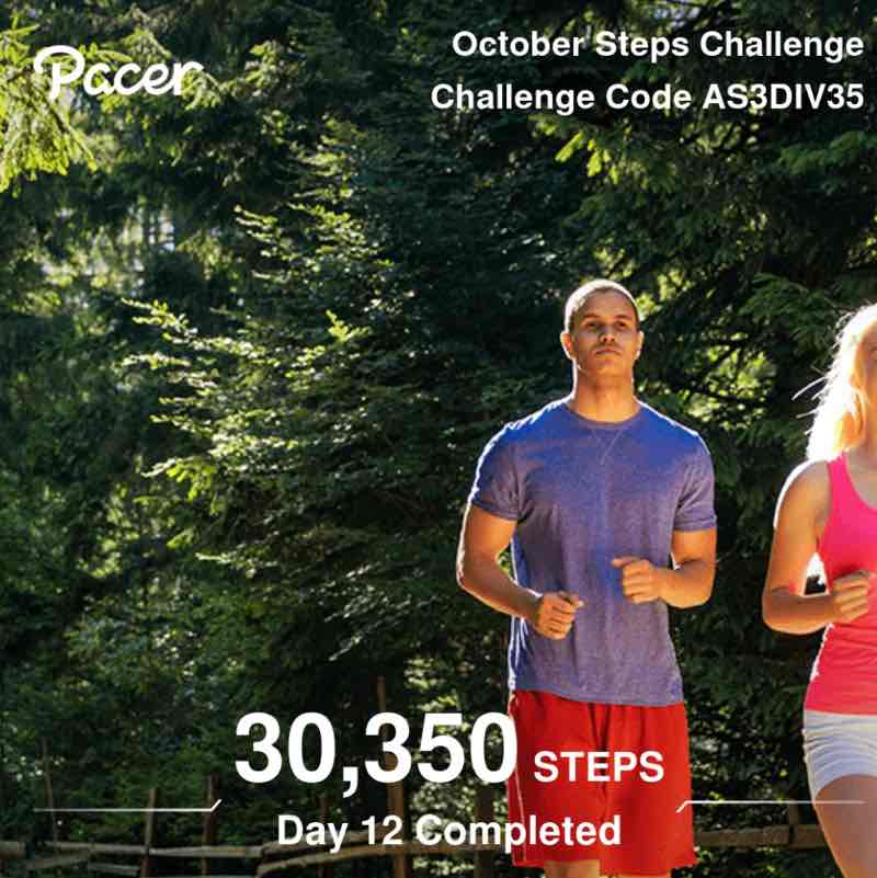 July Steps Challenge FV post image