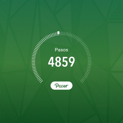 cL • Barbara Turra post image