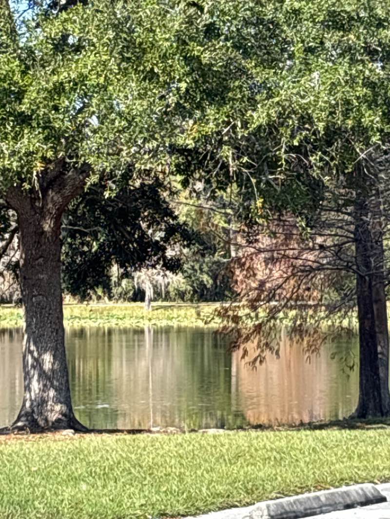 walking near me in Ravenall Park in winter