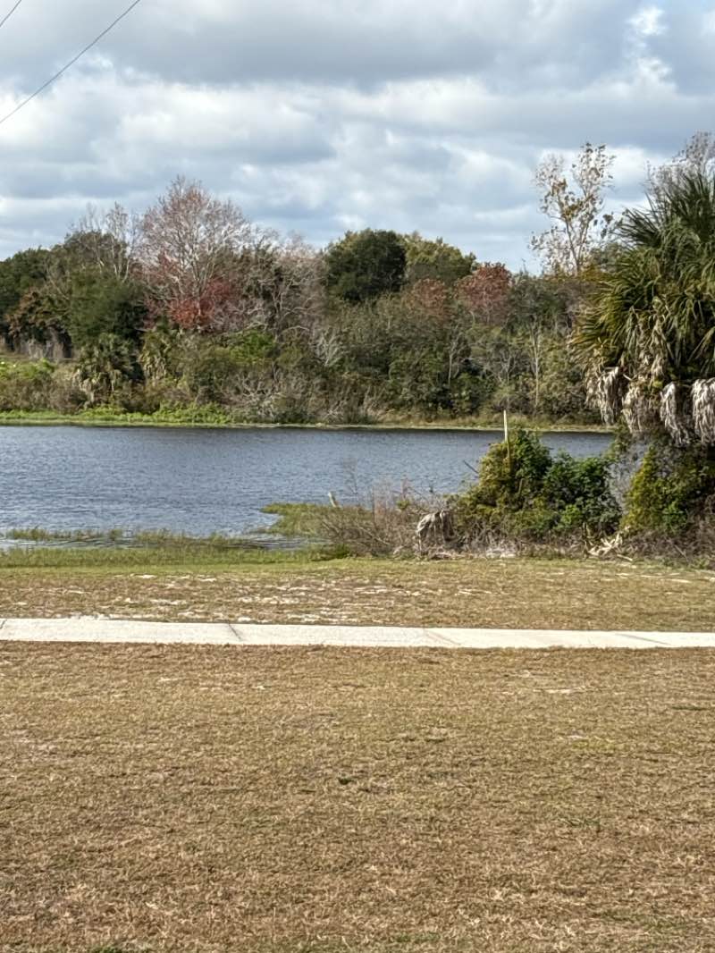 walking near me in Shadow Bay Park in winter