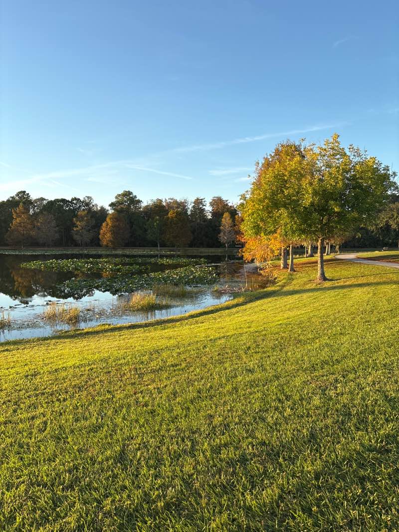 walking near me in Eagle Nest Park in winter