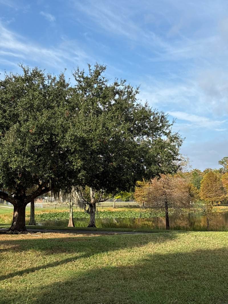 walking near me in Eagle Nest Park in winter