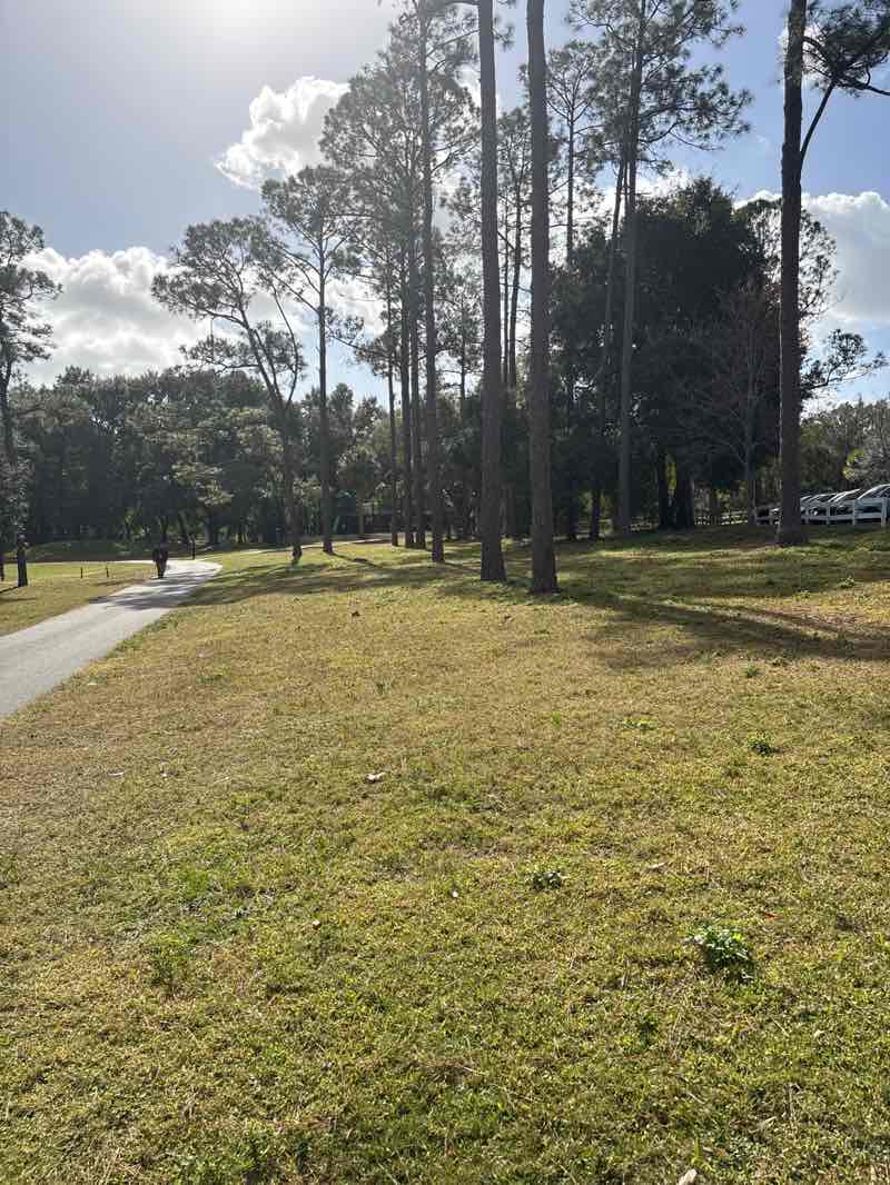 walking near me in Bill Frederick Park at Turkey Lake in winter