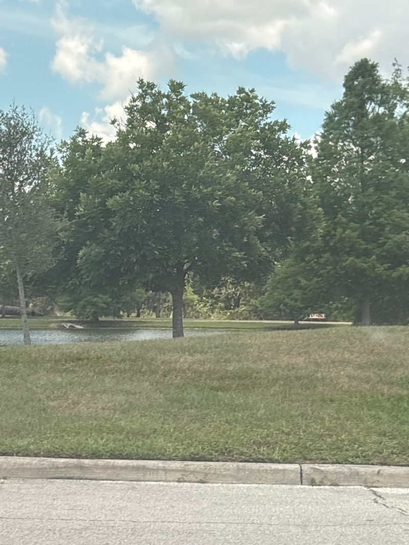 walking near me in Eagle Nest Park in spring