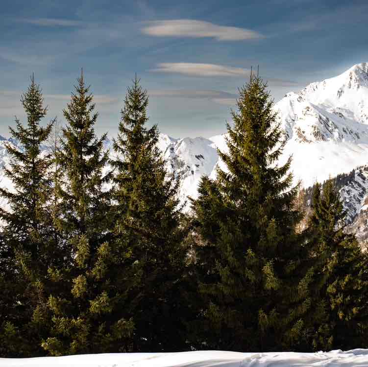 👟Never Give Up Go Run Popofoto post image