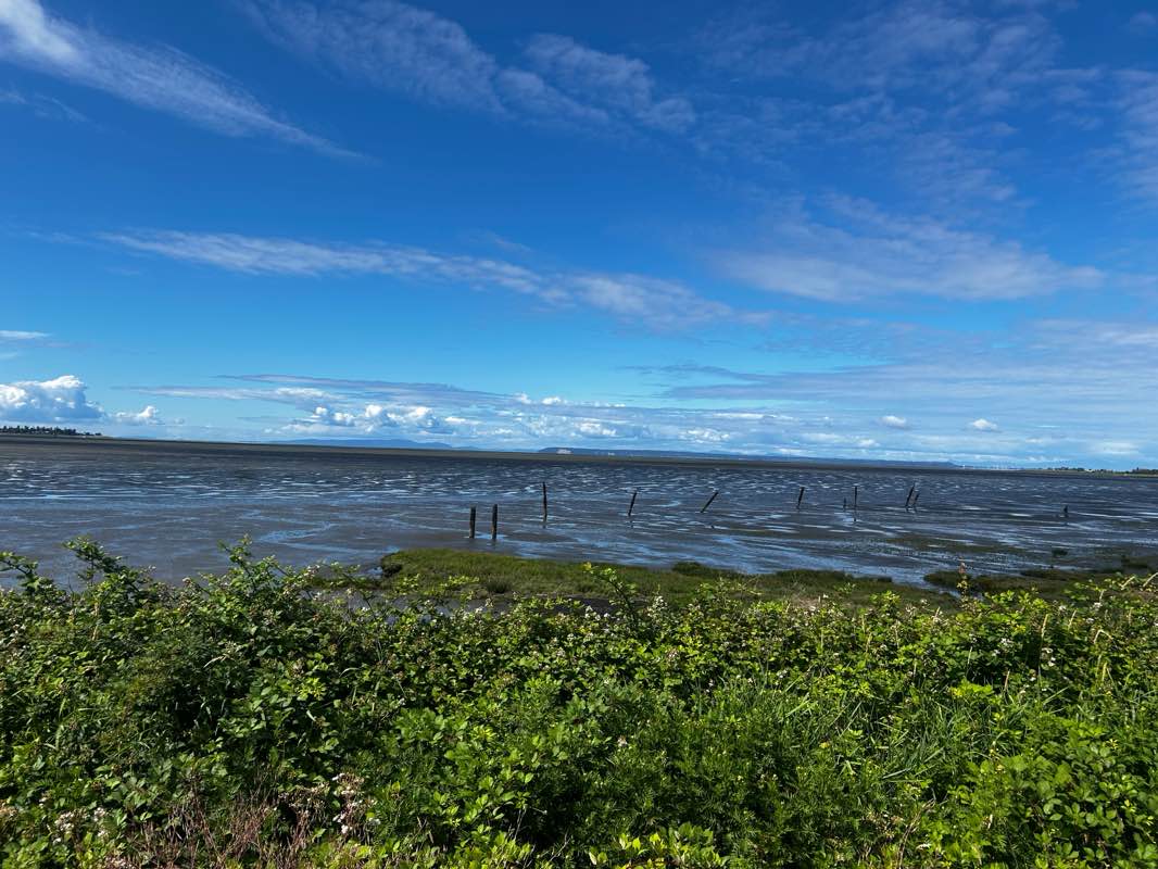 walking near me in Boundary Bay Regional Park in summer