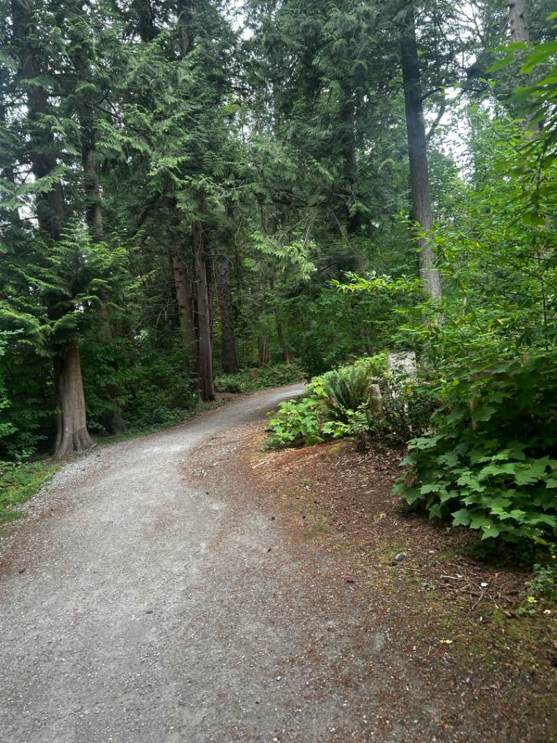 walking near me in Elgin Heritage Park in summer