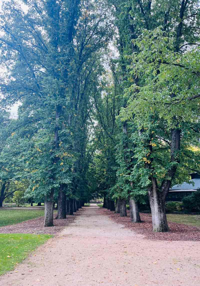 walking near me in Cook Park in autumn