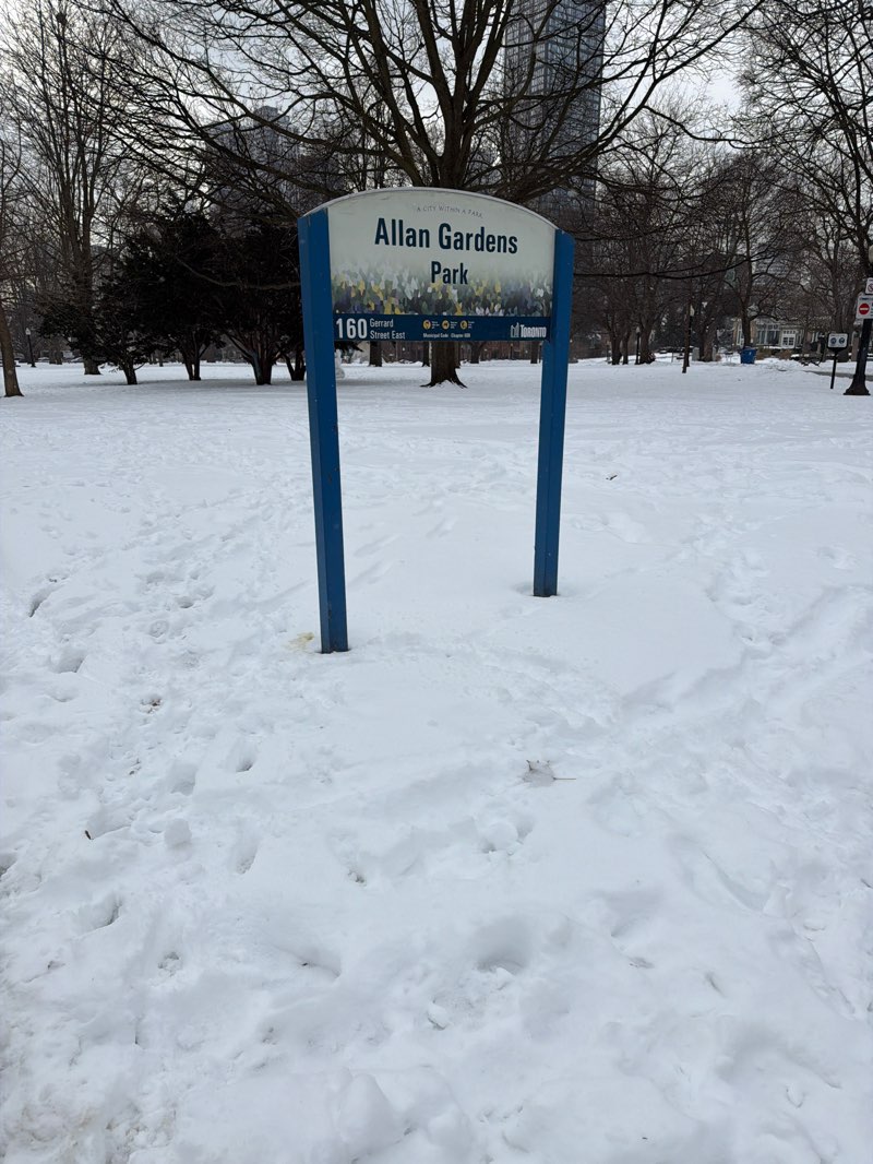 walking near me in Allan Gardens in winter