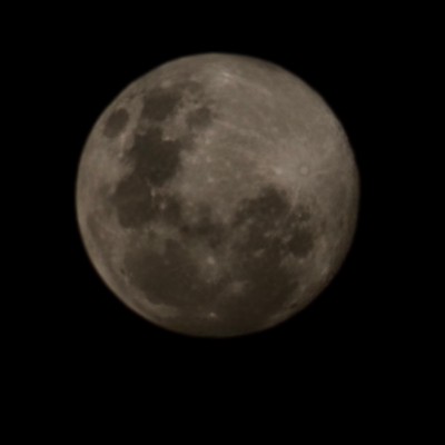 Salt Life and Fitness 🏃🏻‍♀️ Jamie post image