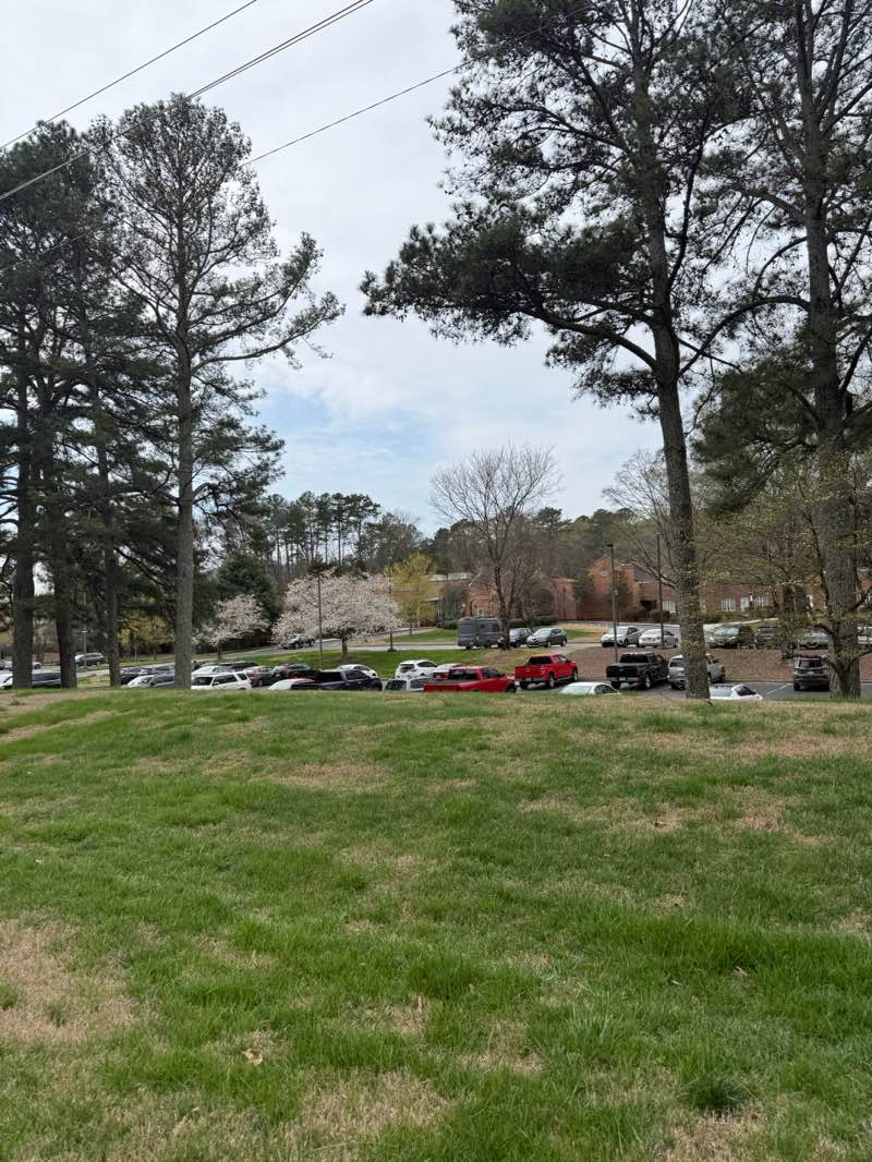 walking near me in Civitan Park in spring