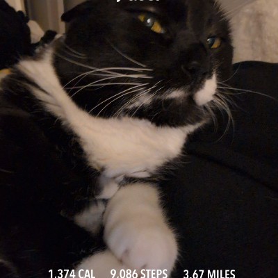 🇨🇦 Ari アリ post 1