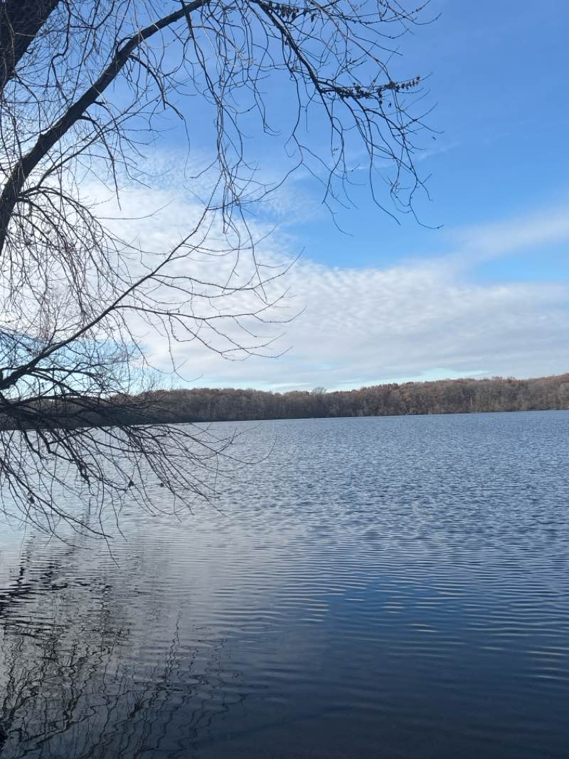 walking near me in Lake Ann Park in autumn