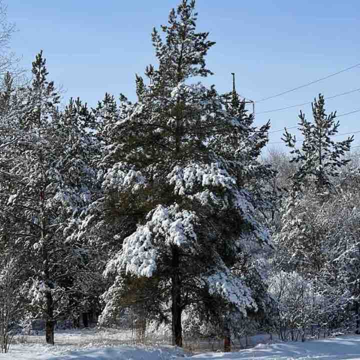 Шагаем в удовольствие Алексей post image