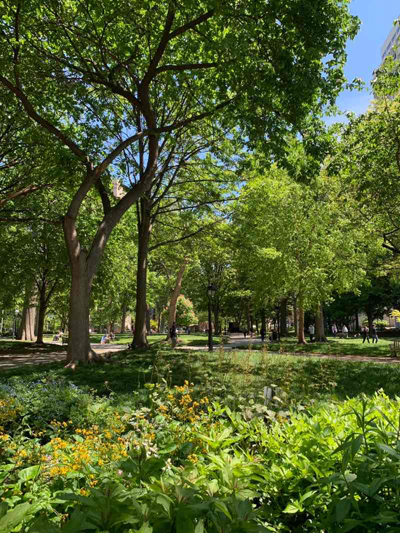 walking near me in Washington Square in spring