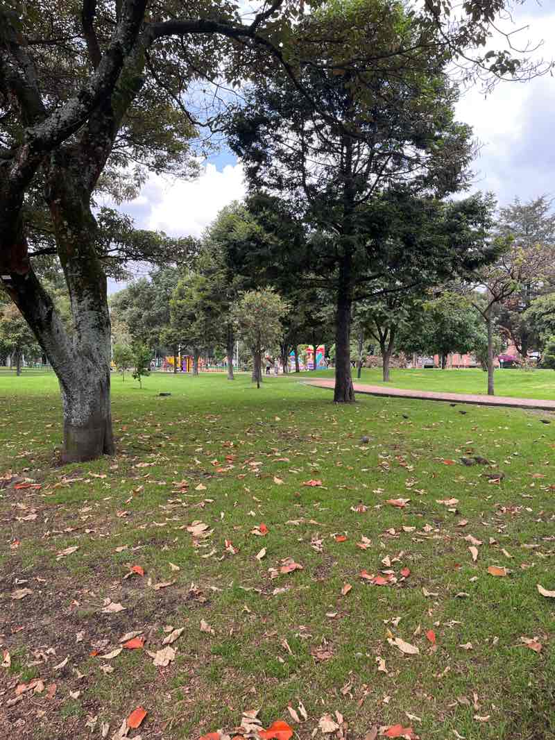walking near me in Parque Alcalá in winter