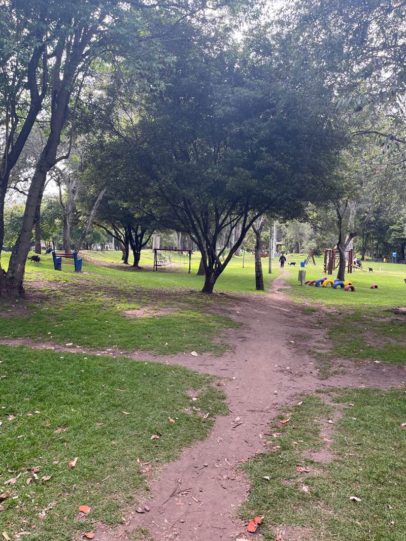walking near me in Parque Cedro Salazar in winter