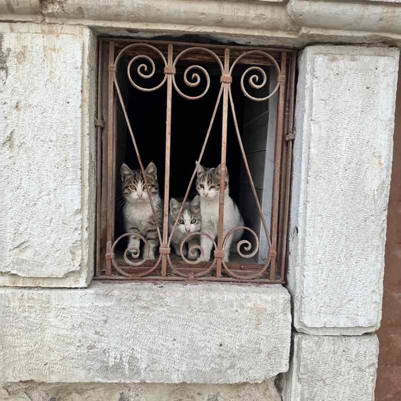 January 5k Race #4 Emin Güngör post image