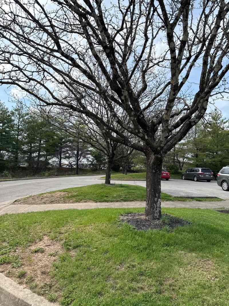 walking near me in McConnell Springs in spring