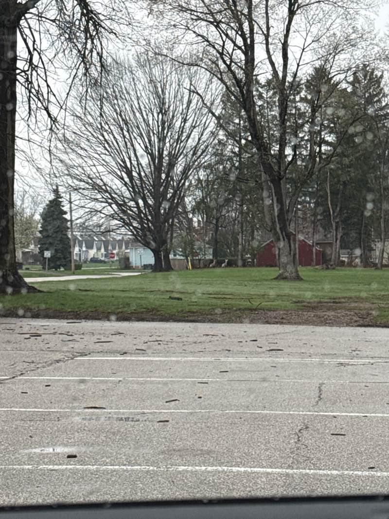 walking near me in Forestwood Park in spring