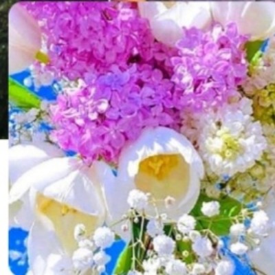 ππLaufen verbindet!π¦ππ£ππΌβ Simone 04 β½οΈππΌββοΈππ€πΉπ post image