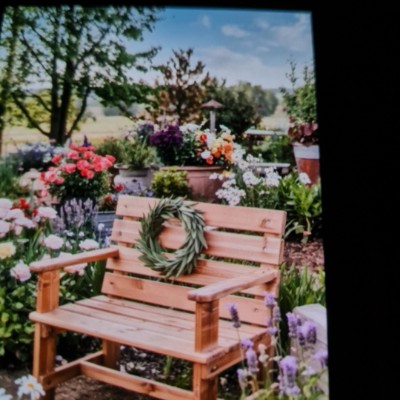 🔹️▪️🔸️Moonlight shadows🌛🌕🌷 S❗mone 04 ⚽️🏃🏼‍♀️💙🤍🌹🍁 post image