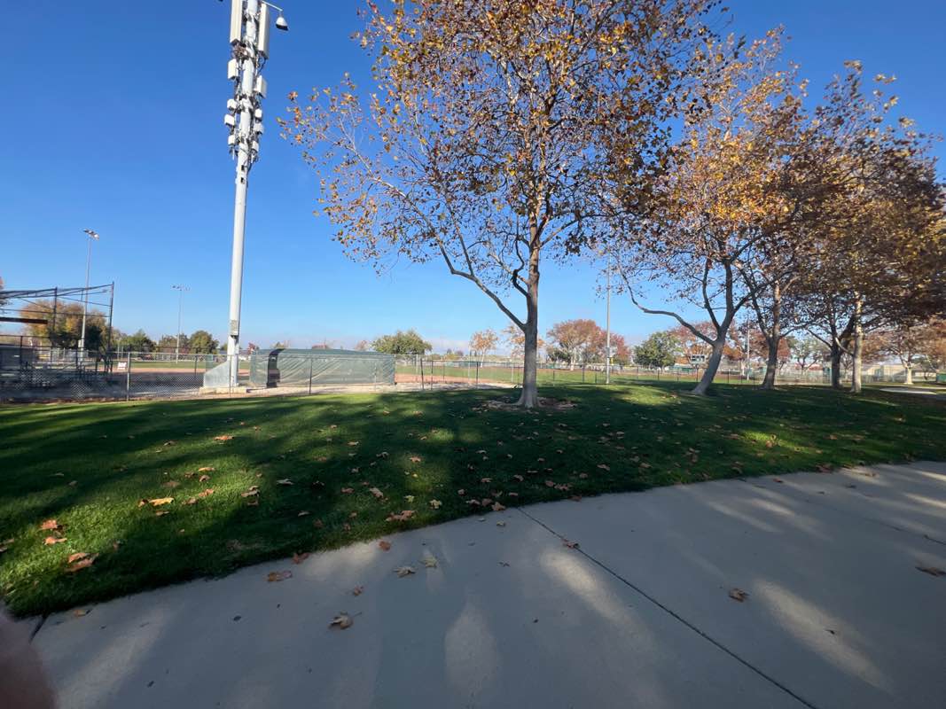 walking near me in Max Baer Park in winter