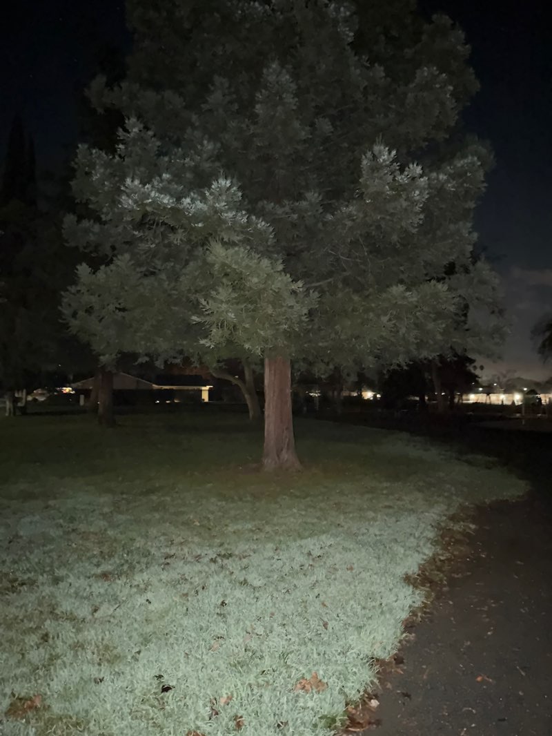 walking near me in Sunset East Park in winter