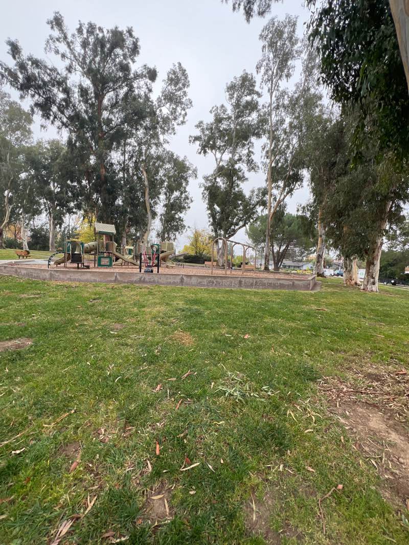 walking near me in Ravenswood Park in winter