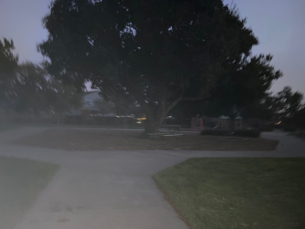 walking near me in Al Caffodio Park in winter