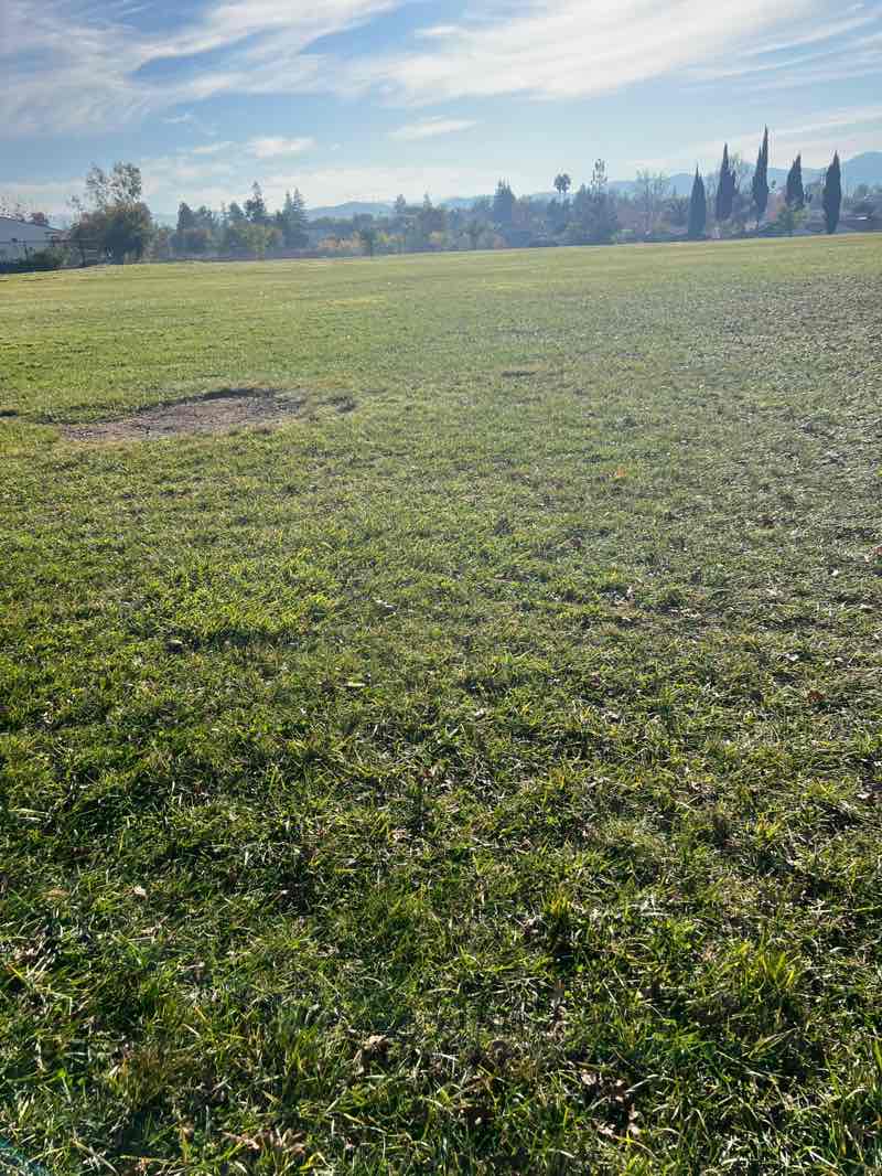 walking near me in Wente Park in winter