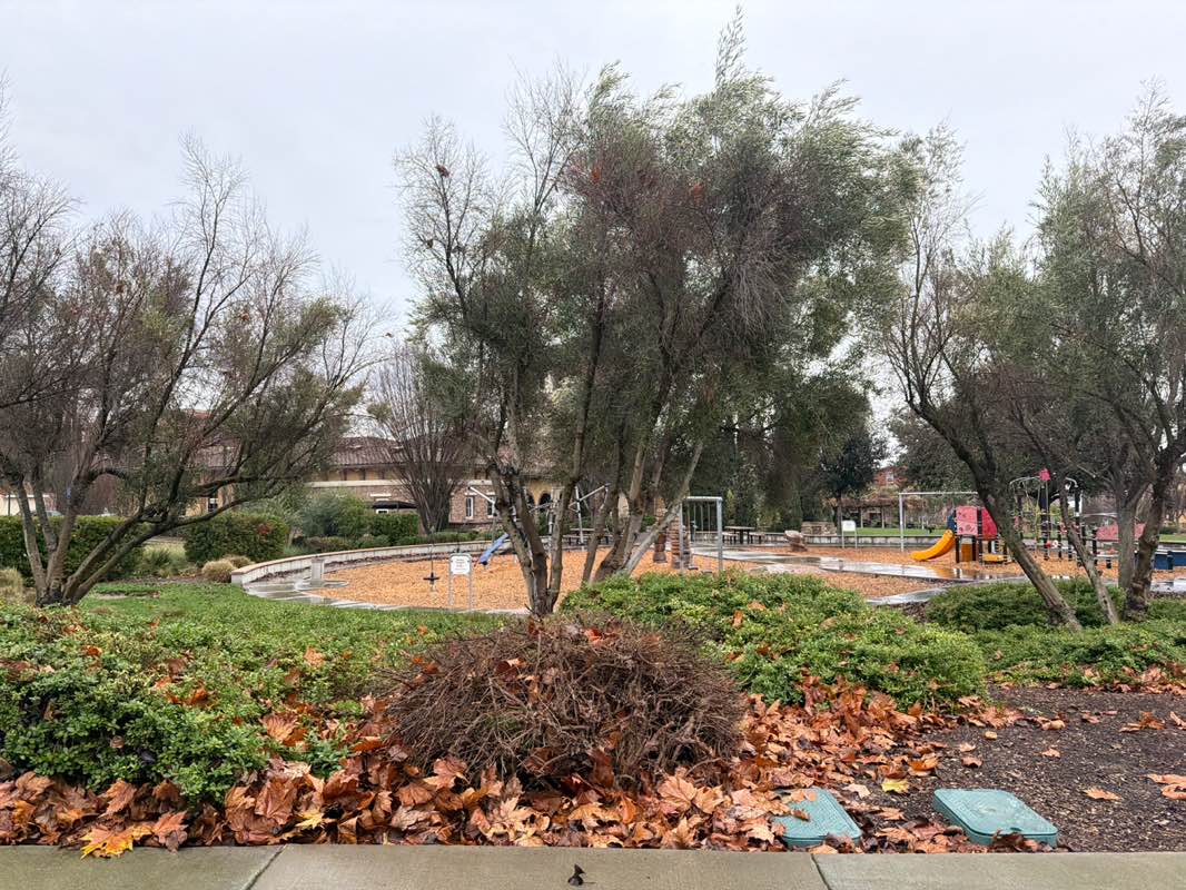 walking near me in Piazza Sorrento in winter