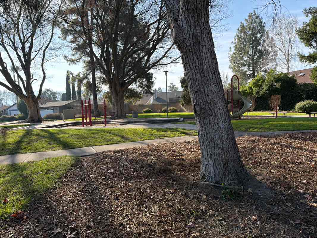 walking near me in Heatherlark Park in winter