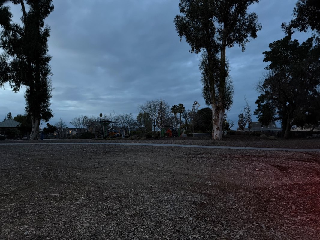 walking near me in Big Trees Park in winter